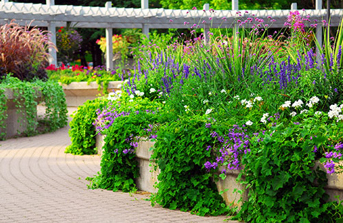 Commercial Landscaping Savannah, Landscaping Companies In Wilmington Manila