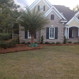 Lawn Fertilization Savannah GA