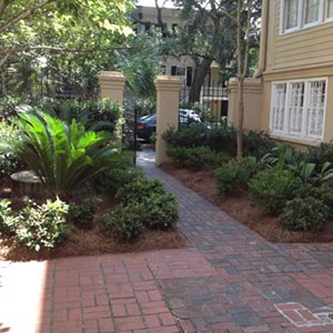 Lawn Fertilization Savannah GA