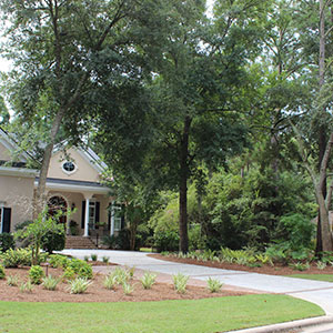 Lawn Fertilization Savannah GA